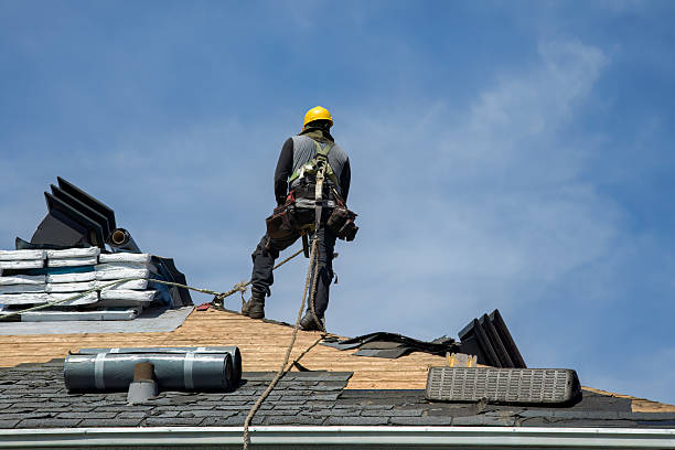 Professional Roofing technician working in Bishop Hill, IL